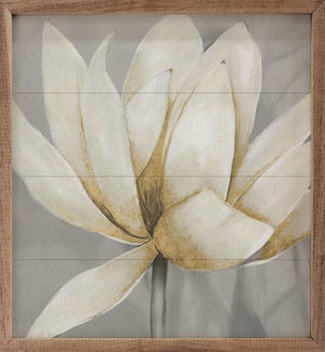 Golden Waterlily 2 By Carol Robinson